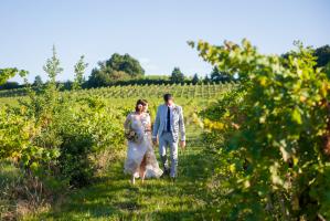 a bride and groom walking through the bordeaux vines at chateau rigaud in France